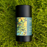 ALL DAY DEODORANT - Large 2.5oz Twist Tube